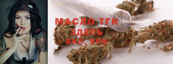 индика Белоозёрский