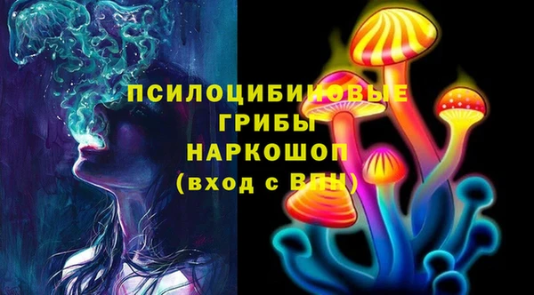 дурь Сосновый Бор
