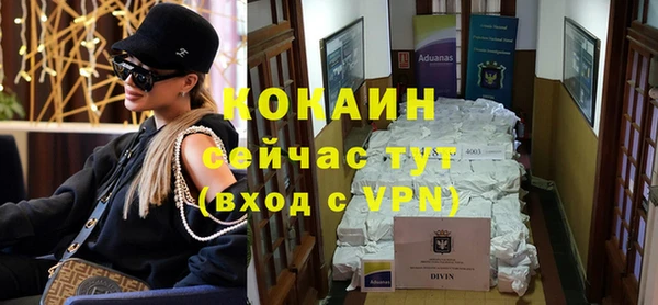 первитин Богданович