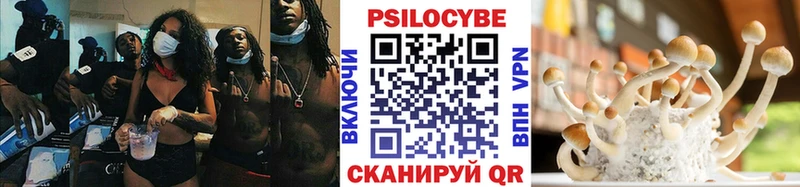 наркошоп Горячий Ключ blacksprut зеркало Галлюциногенные грибы GOLDEN TEACHER